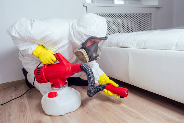 Best Bed Bug Extermination  in Yaeyville, NC